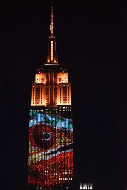 Empire State Building Brings Endangered Animals