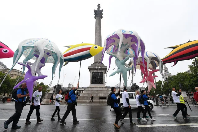 Greenpeace protestors pass into Trafalgar Square as they take part in a parade of inflatable sea creatures on August 21, 2017 in London, England. The Greenpeace parade of inflatable sea creatures is making its way to the BP headquarters to protest at their plans to drill for oil near the recently discovered Amazon Reef, a 5000km2 coral reef in the Amazon Mouth Basin off the coast of Brazil. (Photo by Chris J. Ratcliffe/Getty Images)