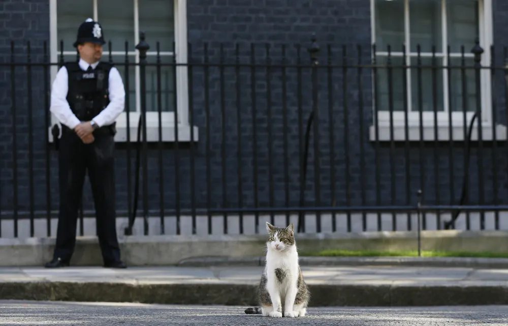 The Day in Photos – July 22, 2016