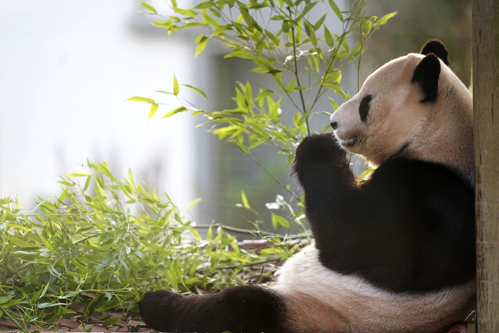 Pictures of the Year 2023, Part 204/224