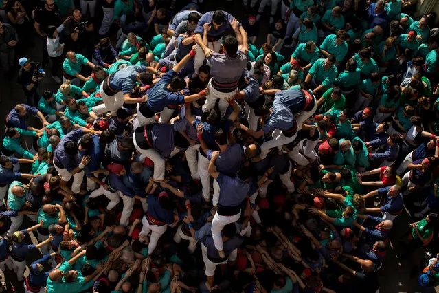 The group Colla els Capgrossos de Mataro form a human tower called “Castell” during the All Saints Day in Vilafranca del Penedes town, near Barcelona, Spain, November 1, 2017. (Photo by Juan Medina/Reuters)