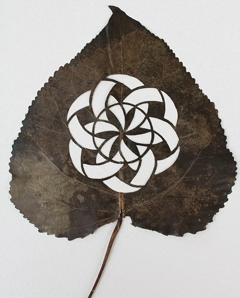 Leaf Art by Lorenzo Duran 