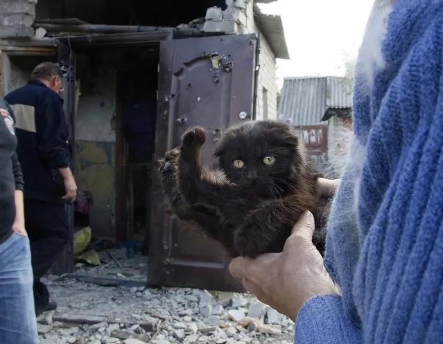 A woman carries a kitten near her damaged private house after shelling in the town of Donetsk, eastern Ukraine, Sunday, October 5, 2014. (Photo by Dmitry Lovetsky/AP Photo)