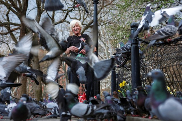 A man feeds pigeons at Washington Square Park in New York City, U.S., March 31, 2025. (Photo by Jeenah Moon/Reuters)