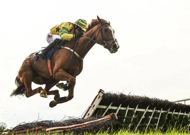 Meath, Ireland – 18 April 2017; Forever Charmer, with Chris Timmons up, jumps the last in the Lilly Bain Bathroom and Tiles Supporting Newry RFC Maiden Hurdle during the Fairyhouse Easter Festival at Fairyhouse Racecourse in Ratoath, Co Meath. (Photo By Seb Daly/Sportsfile via Getty Images)