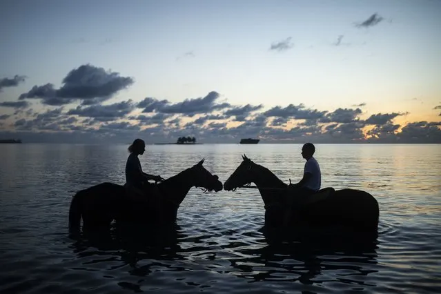 Riders bathe their race horses in the sea in the early hours of the morning on San Andres Island in Colombia, Tuesday, November 8, 2022. Thoroughbreds train on sand beaches and compete on a rocky trail that cuts through the forest. (Photo by Ivan Valencia/AP Photo)