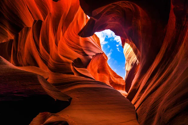 “Window to the heavens”. Shot of the Lower Antelope Canyons, in Page, AZ. Antelope Canyon is formed by erosion of the Navajo Sandstone, mostly due to Flash flooding. As this is an underground canyon, rainwater gushes into the canyons picking up speed and sand as it rushes into the narrow passageways. Photo location: Page, Arizona, USA. (Photo and caption by Rachna Niranjan/National Geographic Photo Contest)