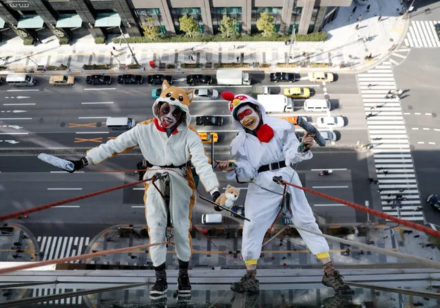 Window cleaners, dressed as a rooster, this year's Chinese zodiac animal and a dog, next year's Chinese zodiac animal, pose for photographers as they clean the windows of Ryumeikan hotel during a promotional event to celebrate the upcoming new year in Tokyo, Japan December 20, 2017. (Photo by Kim Kyung-Hoon/Reuters)