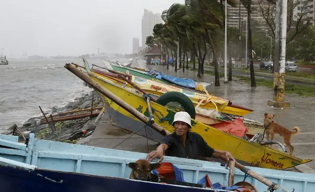 A fisherman checks on his dog inside his boat that was put up in baywalk with other boats due to Typhoon Koppu in Manila, October 18, 2015. (Photo by Erik De Castro/Reuters)