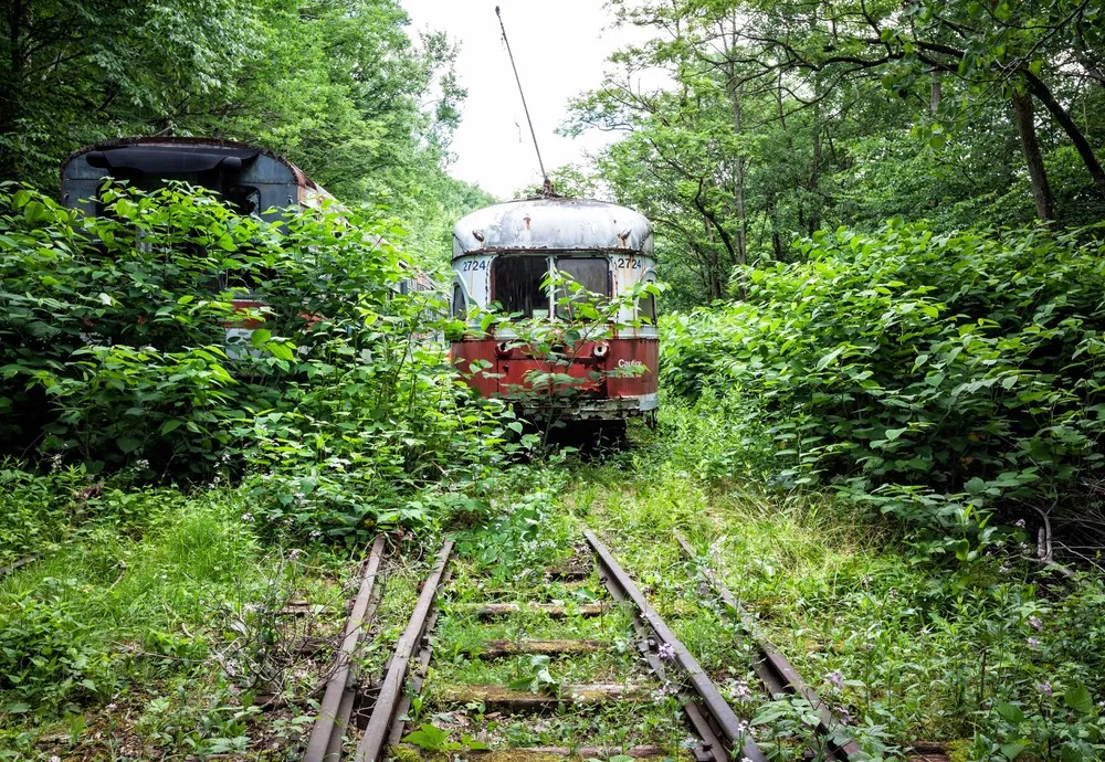 Abandoned Trolley Cars