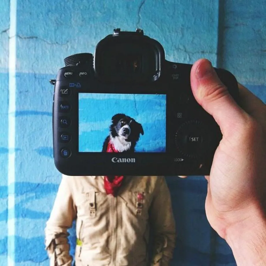 Portraits of Pets and Their Owners By Zach Rose