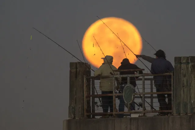 The moon sets behind people fishing on a pier during its closest orbit to the Earth since 1948 on November 14, 2016 in Redondo Beach, California. The so-called supermoon appears up to 14 percent bigger and 30 percent brighter as it comes about 22,000 miles closer to the Earth than average, though to the casual observer, the increase appears slight. (Photo by David McNew/Getty Images)