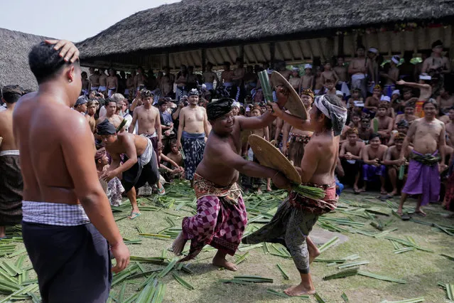 Balinese men fight using thorny pandanus leaves during the annual sacred Mekare-kare ritual, dedicated to the god of war, in Tenganan Village, on Bali, Indonesia June 7, 2018. (Photo by Johannes P. Christo/Reuters)