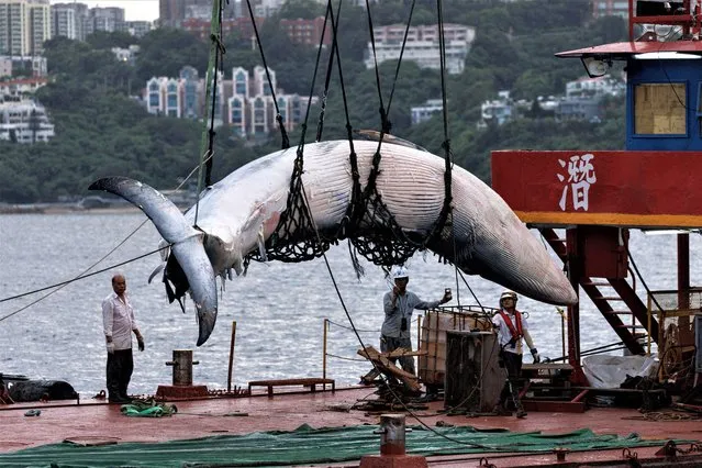 A vessel hoists the carcass of a Bryde's whale onto the ship, in Hong Kong, China on July 31, 2023. (Photo by Tyrone Siu/Reuters)