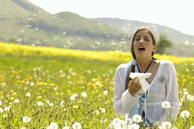 Woman sneezing with tissue in meadow. (Photo by Altrendo Images/Rex Features/Shutterstock)
