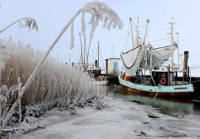 Mooring shrimp boats are seen at the frost-covered North-Sea-port of Spieka, northwestern Germany, on January 21, 2016. (Photo by Ingo Wagner/AFP Photo/DPA)