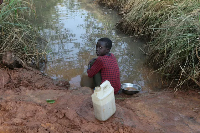 A child who fled fighting in South Sudan collects water from a valley at Bidi Bidi refugee’s resettlement camp near the border with South Sudan, in Yumbe district, northern Uganda December 7, 2016. (Photo by James Akena/Reuters)