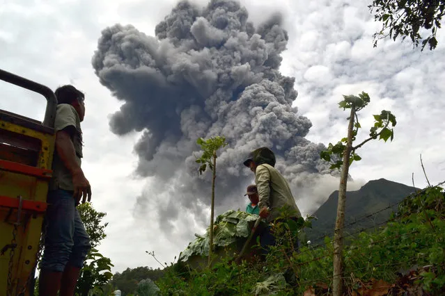 Indonesian farmers rush to harvest crops in the district of Karo as an ash cloud rises during a fresh eruption of the Mount Sinabung volcano, on September 17, 2013. (Photo by Sutanta Aditya/AFP Photo)