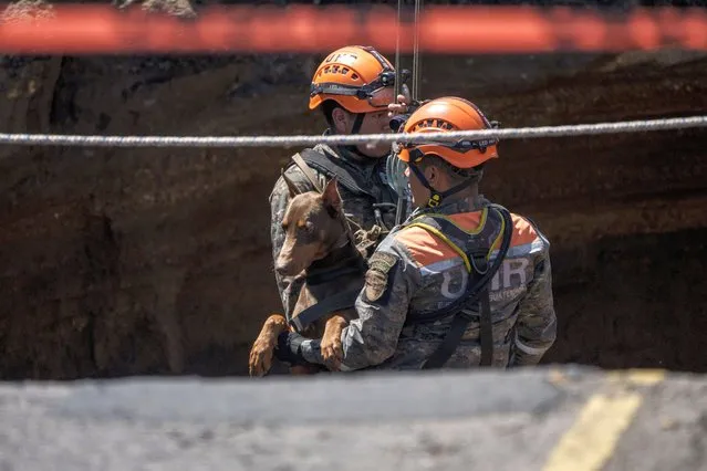 Rescuers of the Guatemalan Army and a search dog descend into a sinkhole in Villa Nueva, Guatemala, Sunday, September 25, 2022. Rescuers are searching for people who are believed to have fallen into the sinkhole while driving their vehicle, while four others were rescued alive from the scene on Saturday night. (Photo by Moises Castillo/AP Photo)