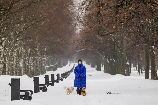 A woman walks with dogs in a boulevard after a heavy snowfall in Moscow, Russia on November 27, 2023. (Photo by Maxim Shemetov/Reuters)