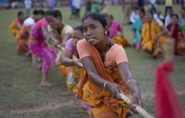 Indian women in traditional dress take part in a tug of war during the Suwori festival in Boko about 75 kilometers (47 miles) west of Gauhati, India, Monday, April 20, 2015. Traditional elephant fights, elephant races, tug of war and dances mark this festival which coincides with the Assamese Rongali Bihu, or the harvest festival of the northeastern Indian state of Assam. (Photo by Anupam Nath/AP Photo)