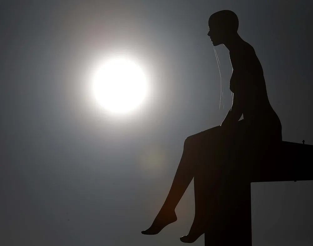 The Week in Pictures: January 26 – January 31, 2014. Part 2/2