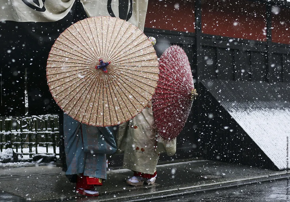 Maiko, Geisha, Winter...