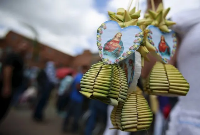 A Catholic holds weavings made of palm fronds on Palm Sunday at the 20 de Julio Church in Bogota, Colombia March 20, 2016. (Photo by John Vizcaino/Reuters)