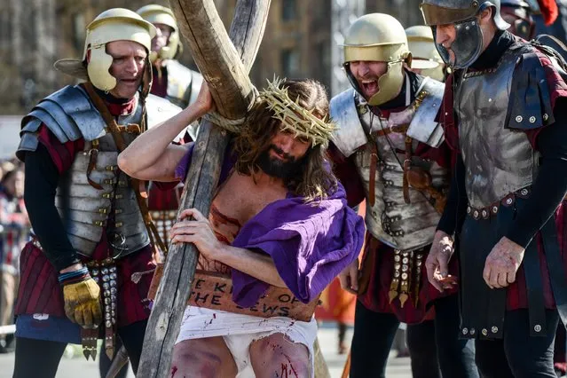 Actor James Burke-Dunsmore carries the crucifix whilst playing Jesus during The Wintershall's “The Passion of Jesus” in front of crowds on Good Friday at Trafalgar Square on March 25, 2016 in London, England. (Photo by Chris Ratcliffe/Getty Images)
