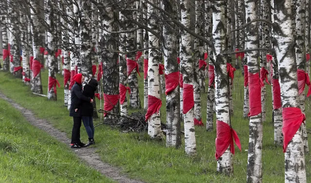 A couple share a moment near trees tied with red scarves in memory of the children who died in the Leningrad siege, part of World War Two, outside Saint Petersburg, Russia on May 4, 2019. (Photo by Anton Vaganov/Reuters)