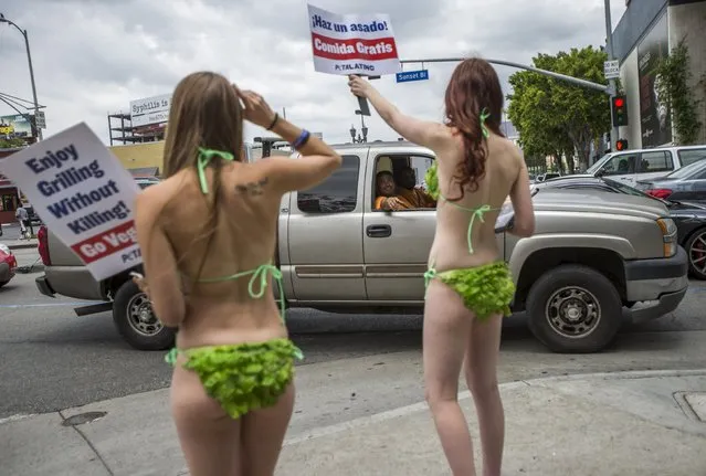 Activists from People for the Ethical Treatment of Animals (PETA) hold signs promoting a vegan diet as people drive past in Los Angeles, California May 21, 2015. (Photo by Mario Anzuoni/Reuters)