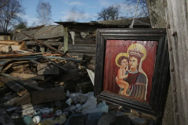 A painting is seen among the ruins of one of the few remaining structures at the site of the destroyed village of Navilovka, April 4, 2016, near Chachersk, Belarus. Navilovka was among hundreds of villages in Belarus demolished by authorities following radiation contamination from the Chernobyl nuclear disaster in 1986. (Photo by Sean Gallup/Getty Images)