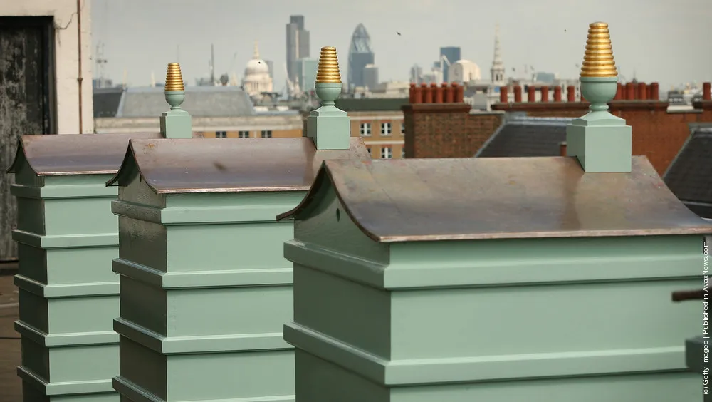 Fortnum And Mason Beehives Take Up Residence On The Roof