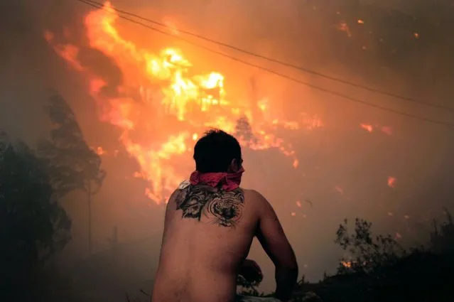 A local stares at houses in flames during a fire in Valparaiso, 110 km west of Santiago, Chile, on April 12, 2014. Authorities decreed a red alert for the area after the fire consumed more than 100 houses. (Photo by Felipe Gamboa/AFP Photo)