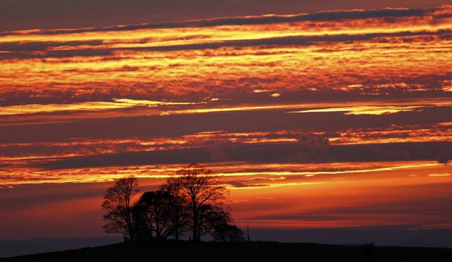 The sun sets over a hill in Ellesborough, southern England, November 13, 2016. (Photo by Eddie Keogh/Reuters)