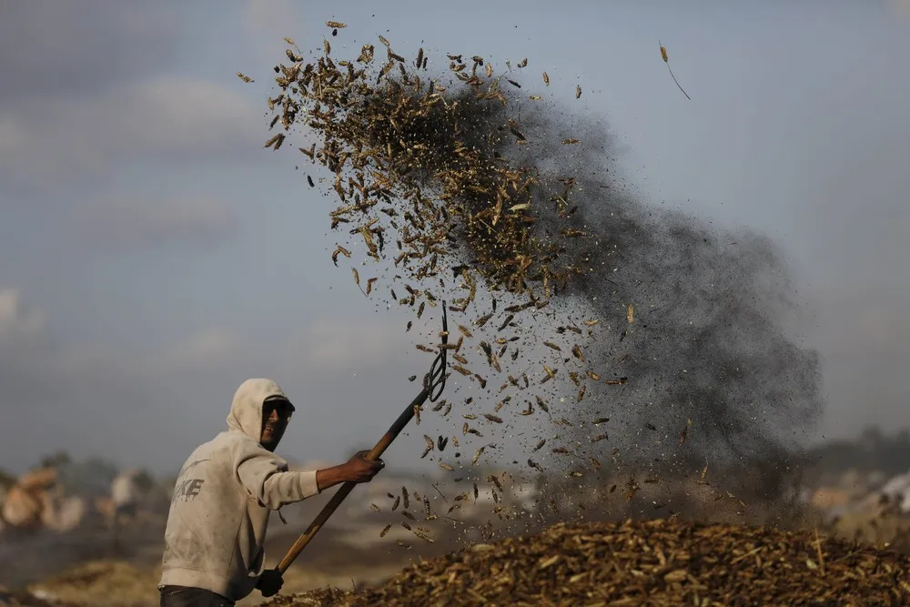 Palestinians Daily Life