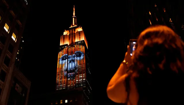 Empire State Building Brings Endangered Animals