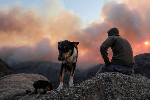 A person sits next to a dog as smoke rises from wildfires in San Marcos Sierra, in the province of Cordoba, Argentina on September 23, 2024. (Photo by Reuters/Stringer)