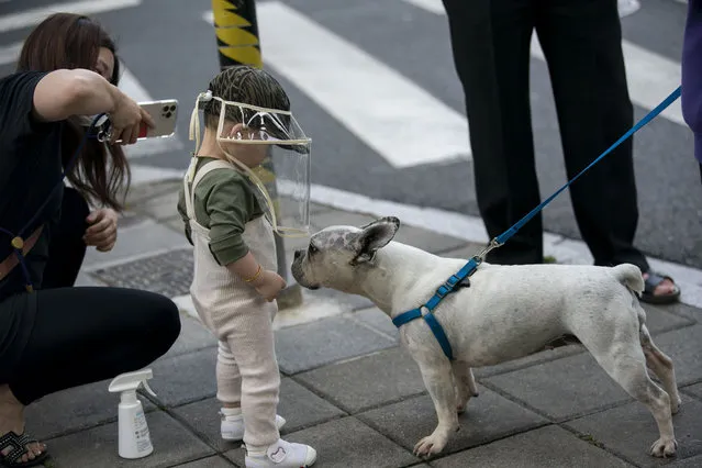 A child wearing protective gear plays with a dog by a street on May 25, 2022 in Shanghai, China. Shanghai has been officially easing a lockdown that kept its 25 million residents home-bound for nearly two months following a decline in Covid-19 cases. (Photo by Yves Dean/Getty Images)