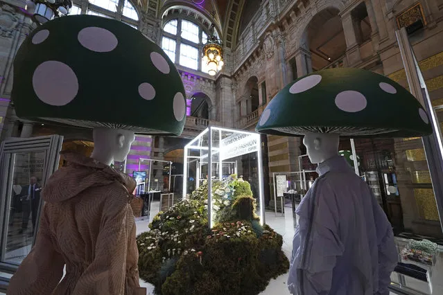 A fashion installation by designer Stella McCartney, at the Kelvingrove Art Gallery and Museum, during the Cop26 summit being held at the Scottish Event Campus (SEC) in Glasgow on Wednesday, November 3, 2021. (Photo by Owen Humphreys/AP Photo)