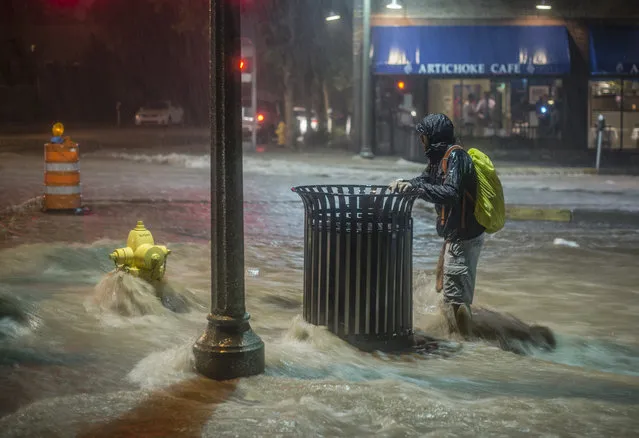 A pedestrian hangs on to a trash can along Central Avenue as rainwater flows towards downtown Albuquerque, N.M.,  Friday, August 1, 2014.  Heavy rains late Friday night caused the flash flooding and road closures in parts of downtown and in other areas.  The fire department says in a statement that crews found multiple vehicles stuck in flood waters, including one that was completely submerged. (Photo by Roberto E. Rosales/AP Photo/The Albuquerque Journal)