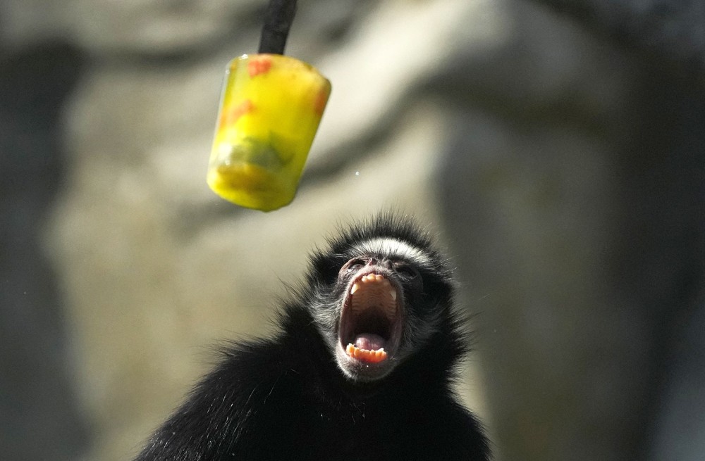 Pictures of the Year 2023, Part 165/224