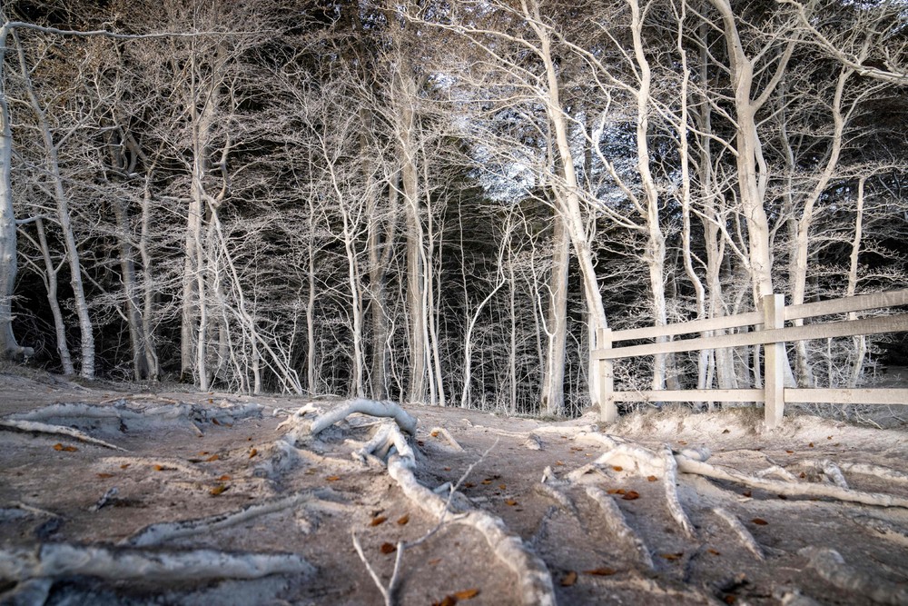 Pictures of the Year 2023, Part 185/224