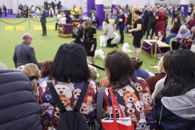 Attendees in dog-themed attire watch dogs being judged during the 149th Annual Westminster Kennel Club Dog Show at the Javits Center in New York, New York, USA, 10 February 2025. (Photo by Sarah Yenesel/EPA/EFE)