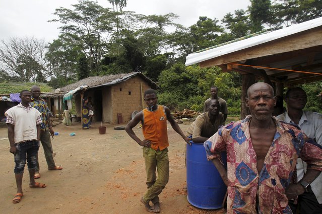 Farmers from Burkina Faso stand in a village built inside the protected Gouin-Debe forest in Blolequin department, western Ivory Coast, August 17, 2015. (Photo by Luc Gnago/Reuters)