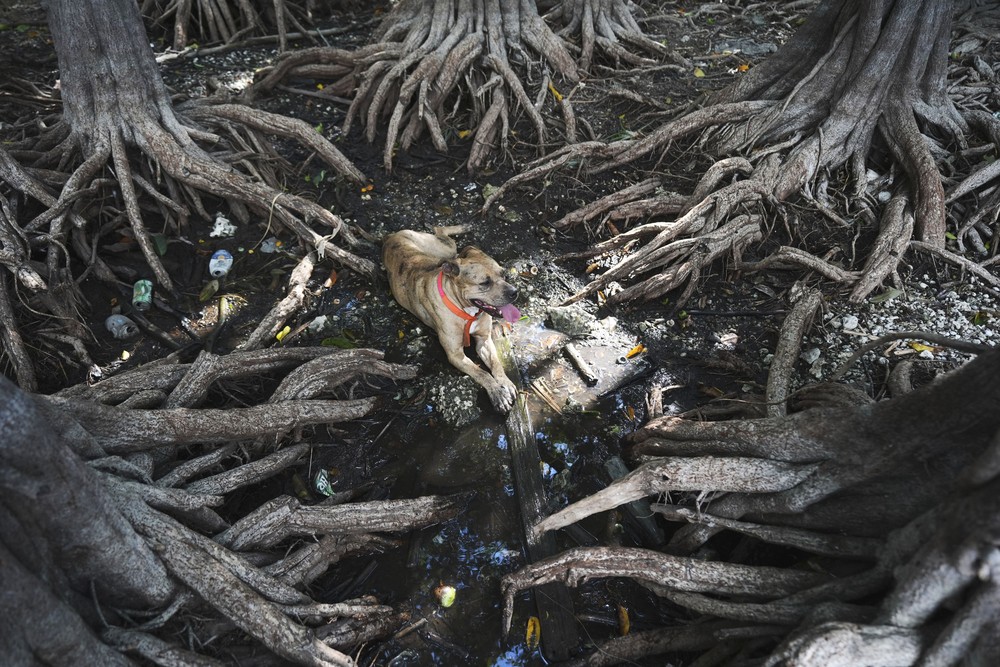 USA last Week, Part 1/2