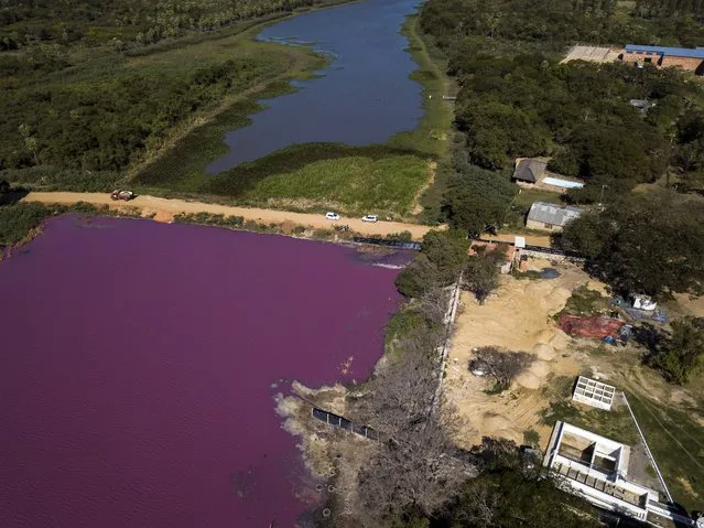 A road divides the Cerro Lagoon, where the water below the road is colored and the Waltrading S.A. tannery stands on the bank, bottom right, in Limpio, Paraguay, Wednesday, August 5, 2020. According to Francisco Ferreira, a technician at the National University Multidisciplinary Lab. who is taking water samples at the site on Wednesday, the color of the water is due to the presence of heavy metals like chromium, commonly used in the tannery process. (Photo by Jorge Saenz/AP Photo)