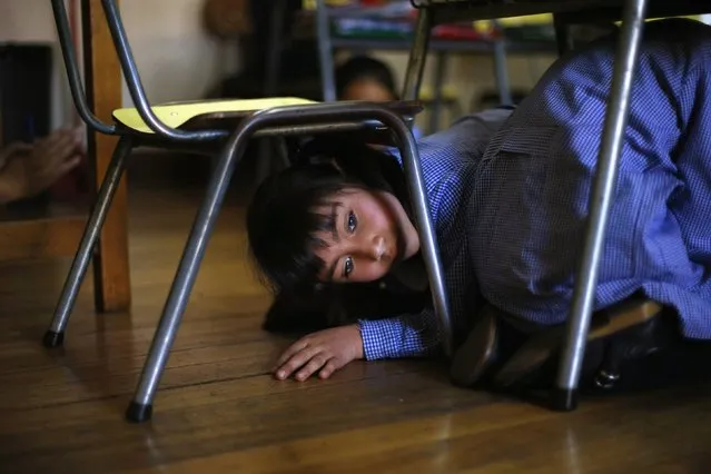 A child takes cover under her school desks inside a school during an earthquake drill in Santiago, November 13, 2014. (Photo by Ivan Alvarado/Reuters)
