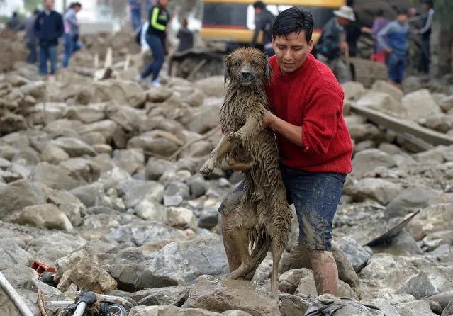 A man carries a dog from mud and stones after a river flooded Tiquipaya due to heavy rains in Cochabamba, Bolivia on February 7, 2018. (Photo by Reuters/Stringer)