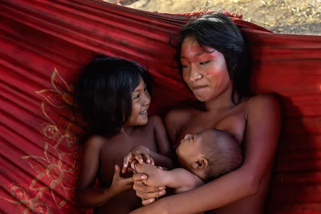 Meri Waiapi cares children at the Waiapi indigenous reserve in Amapa state in Brazil on October 14, 2017. The tiny Waiapi tribe is resisting moves by the Brazilian government to open the region of pristine rainforest known as Renca, National Copper Reserve (Reserva Nacional de Cobre e Associados in Portuguese) to international mining companies. (Photo by Apu Gomes/AFP Photo)